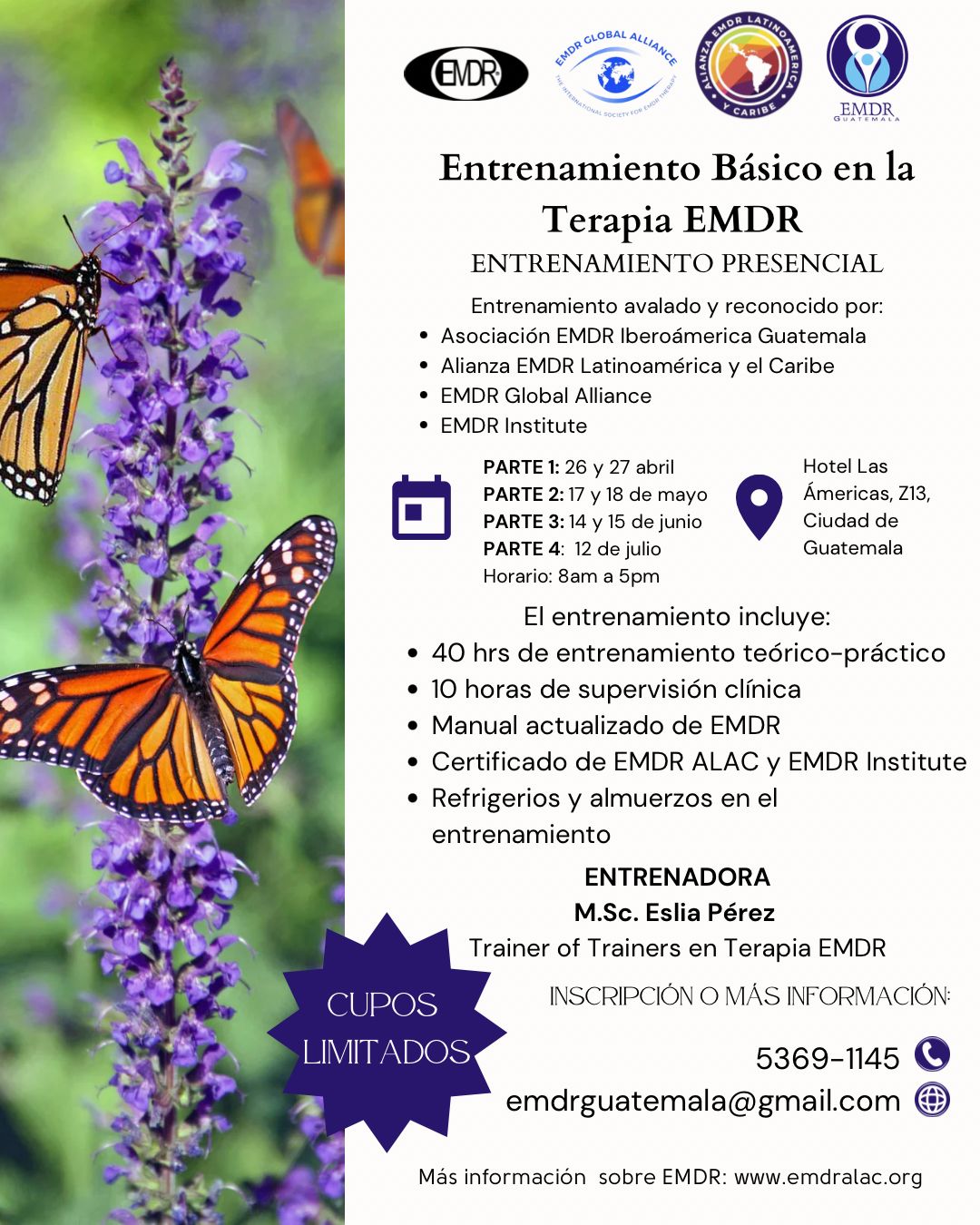 Información EMDR Básico 2025