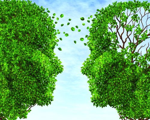 Como terapia psicológica para la atención de los síntomas psicológicos y físicos derivados de la experiencia traumática